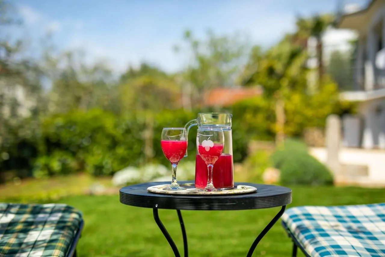 Olive Garden & Sunset View Apartment Njivice